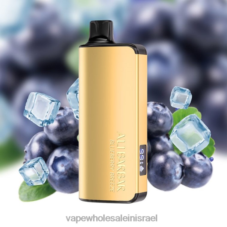 Vape Wholesale Jerusalem - Alibarbar Ingot 20,000 אדים חד פעמיים רוח אוכמניות PTX6232