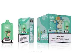 8X822D135 - סיגריה אלקטרונית מחיר תפוח חמוץ פטל Bang Box 15,000