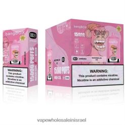 8X822D139 - Vape Store Jerusalem קרח אבטיח Bang Box 15,000