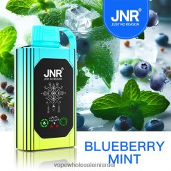 8X822D618 - Vape Wholesale Jerusalem אוכמניות מנטה JNR SHISHA BOX