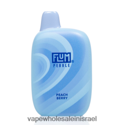 סיגריה אלקטרונית מומלצת - FLUM PEBBLES 6000 שאיפות ברי אפרסק N28TNH37