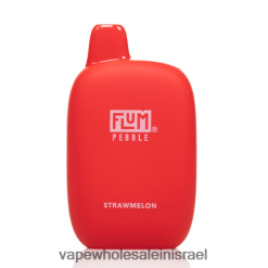 סיגריה אלקטרונית מומלצת - FLUM PEBBLES 6000 שאיפות קש N28TNH47