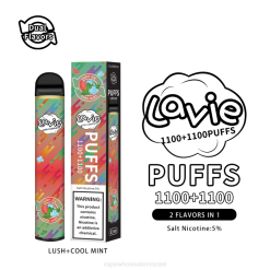 סיגריה אלקטרונית - LAVIE BAR Switch 2200 שאיפות 4820294 מנטה שופעת/קרה