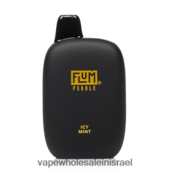 סיגריה E - FLUM PEBBLES 6000 שאיפות מנטה קפואה N28TNH30