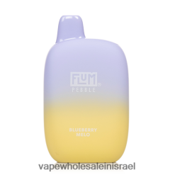 Vape Wholesale Jerusalem - FLUM PEBBLES 6000 שאיפות אוכמניות מלו N28TNH22
