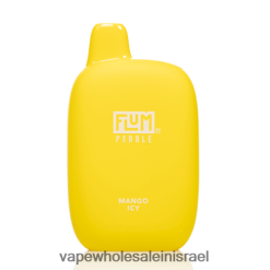 Vape Wholesale Jerusalem - FLUM PEBBLES 6000 שאיפות מנגו קפוא N28TNH32