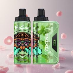 VapSolo VIKING 12000 נענע טרייה 22 מ"ל נוזל