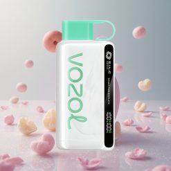 VOZOL STAR 9000/12000 מנטה קריר סוללה 650mAh